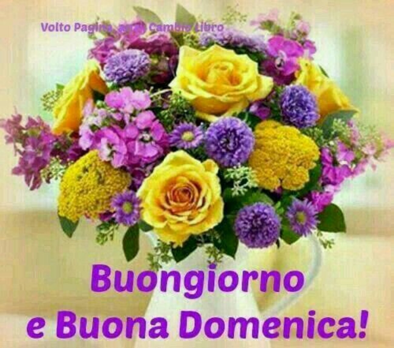 Buona domenica 14