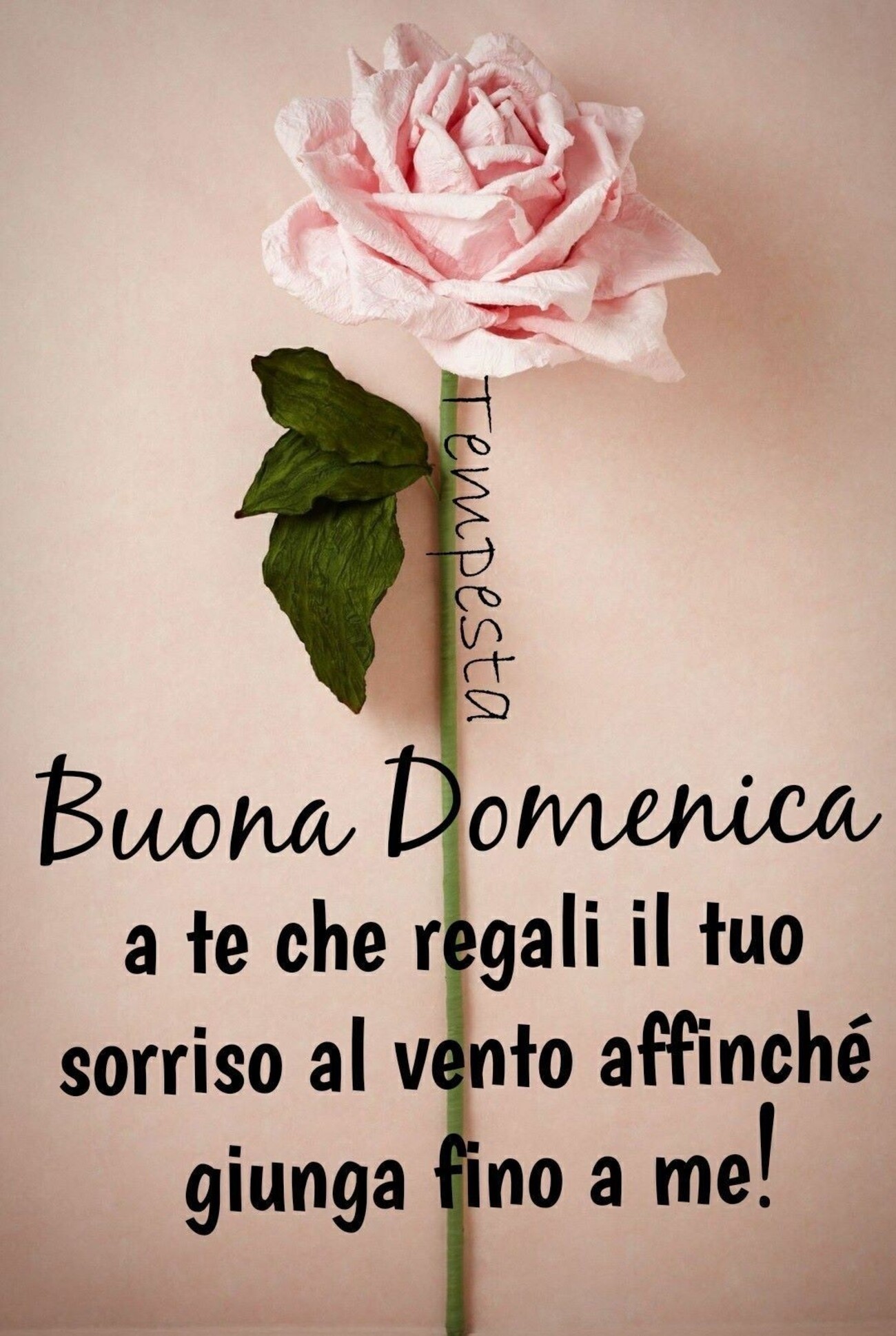 Buona domenica ate che regali il tuo sorriso al vento affinchè giunga a me