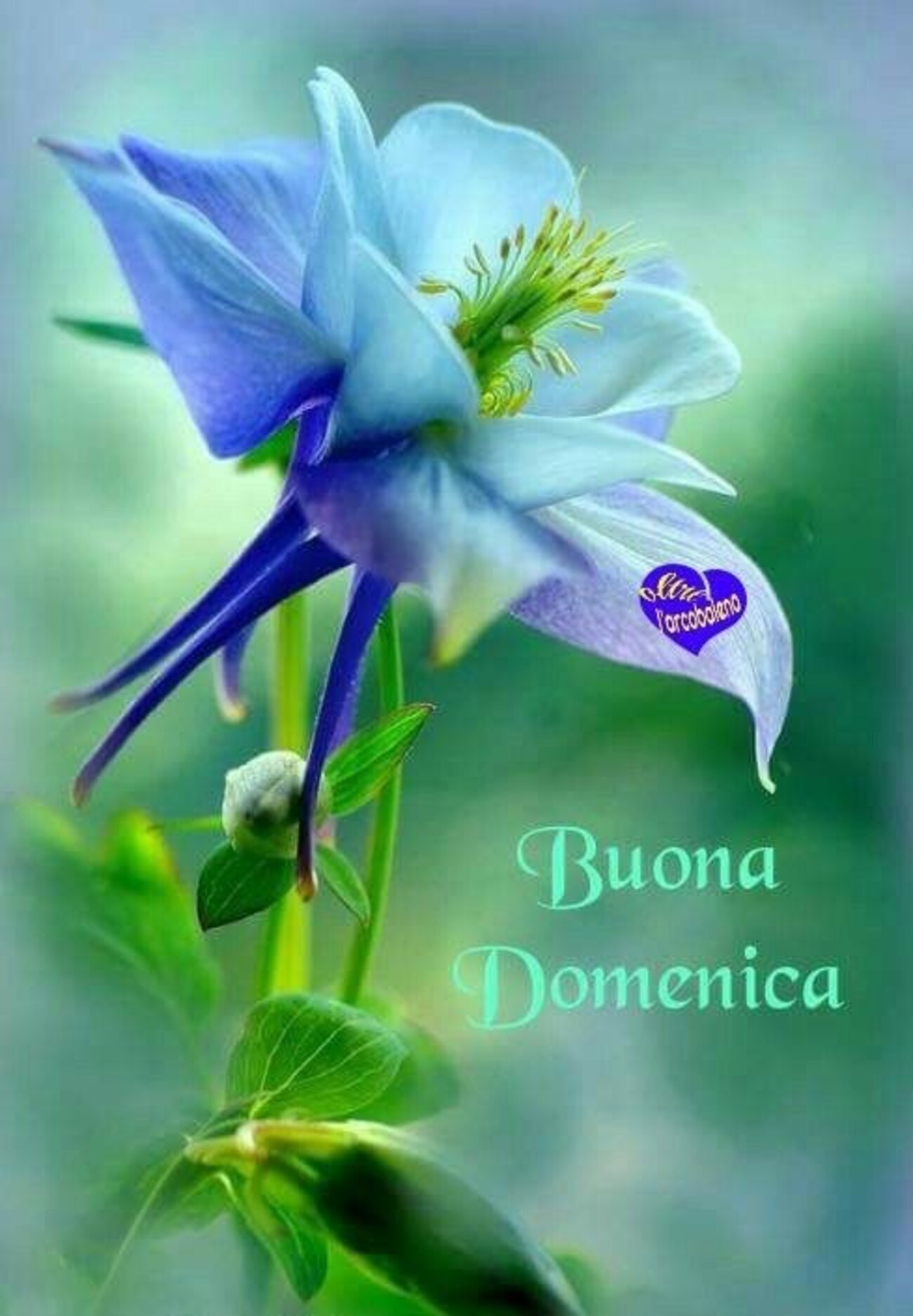 Buona domenica di relax a tutti i miei amici virtuali e reali 6