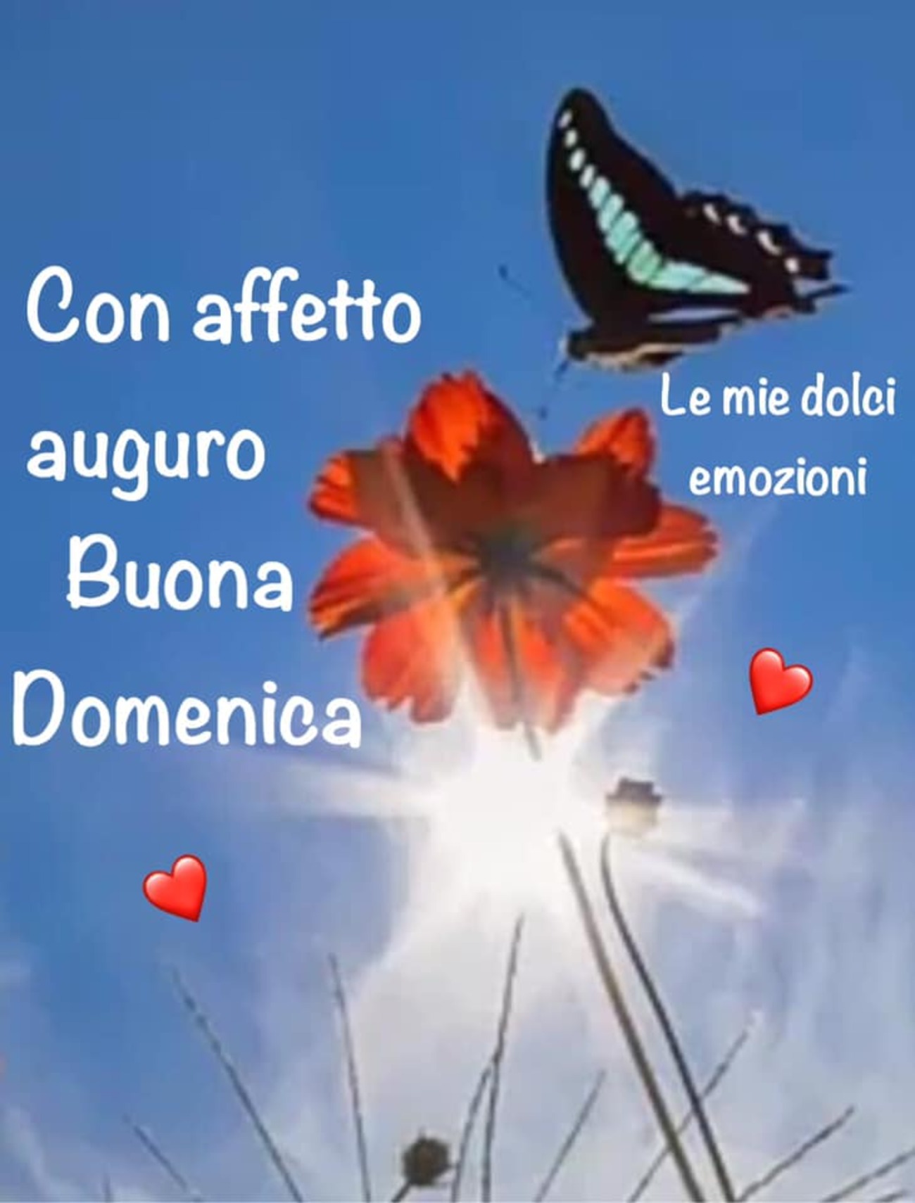 Buona domenica le mie dolci emozioni