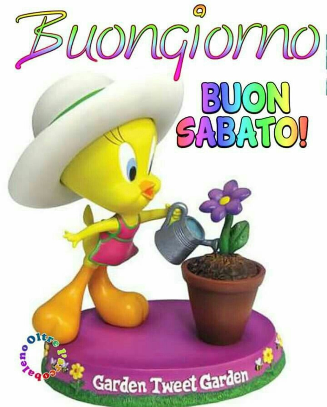 Buona giornata e buon sabato immagini per Whatsapp 11