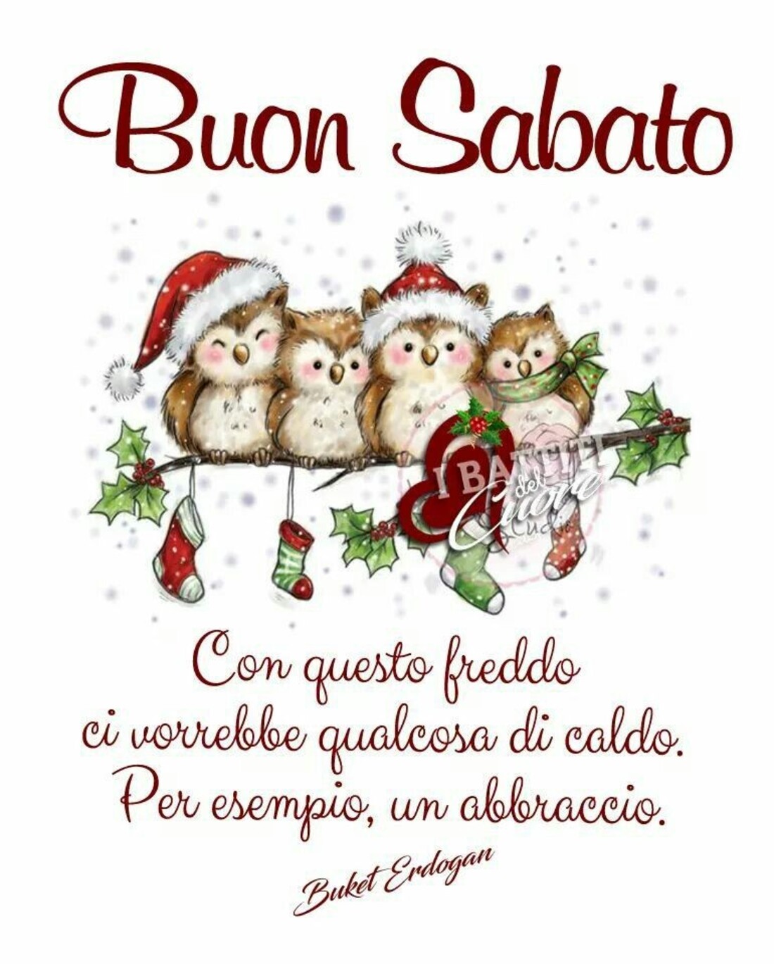 Buongiorno buon sabato Natale (4)