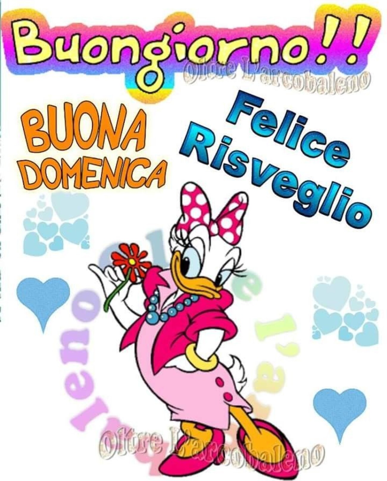 Buongiorno buona domenica felice risveglio