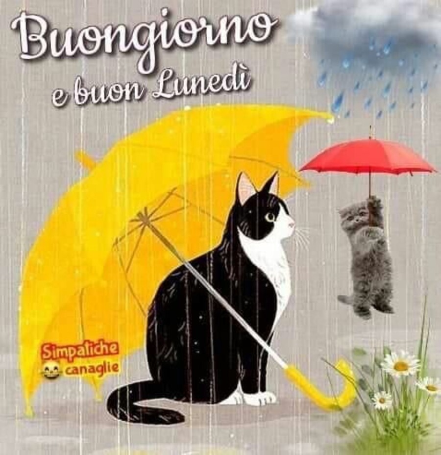 Buongiorno e buon lunedì anche se piove