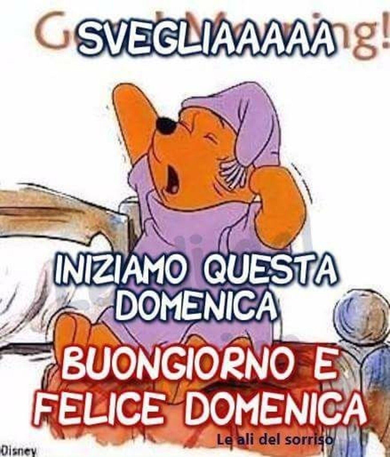 Buongiorno e buona domenica a tutti gli amici 1