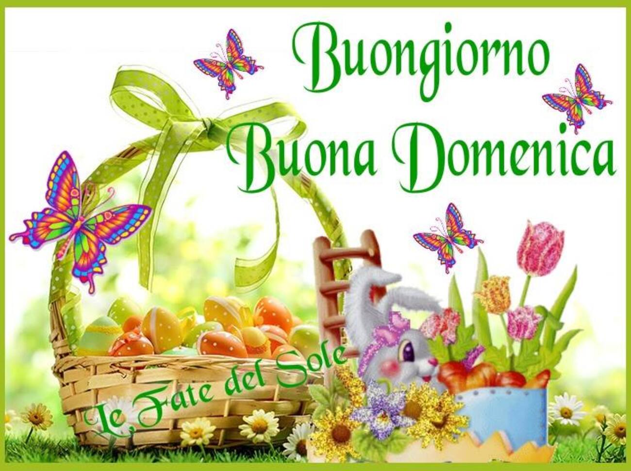 Buongiorno e buona domenica a tutti gli amici 11