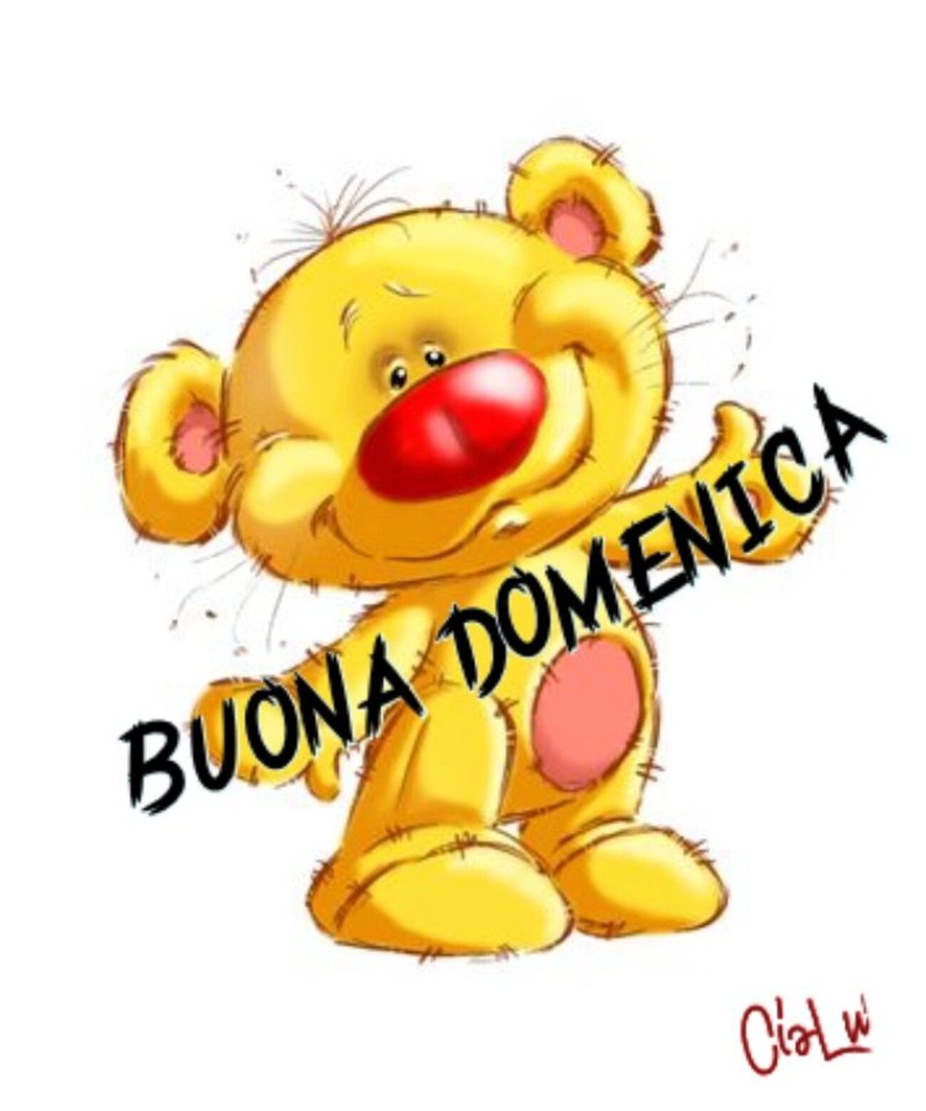 Buongiorno e buona domenica a tutti gli amici 2