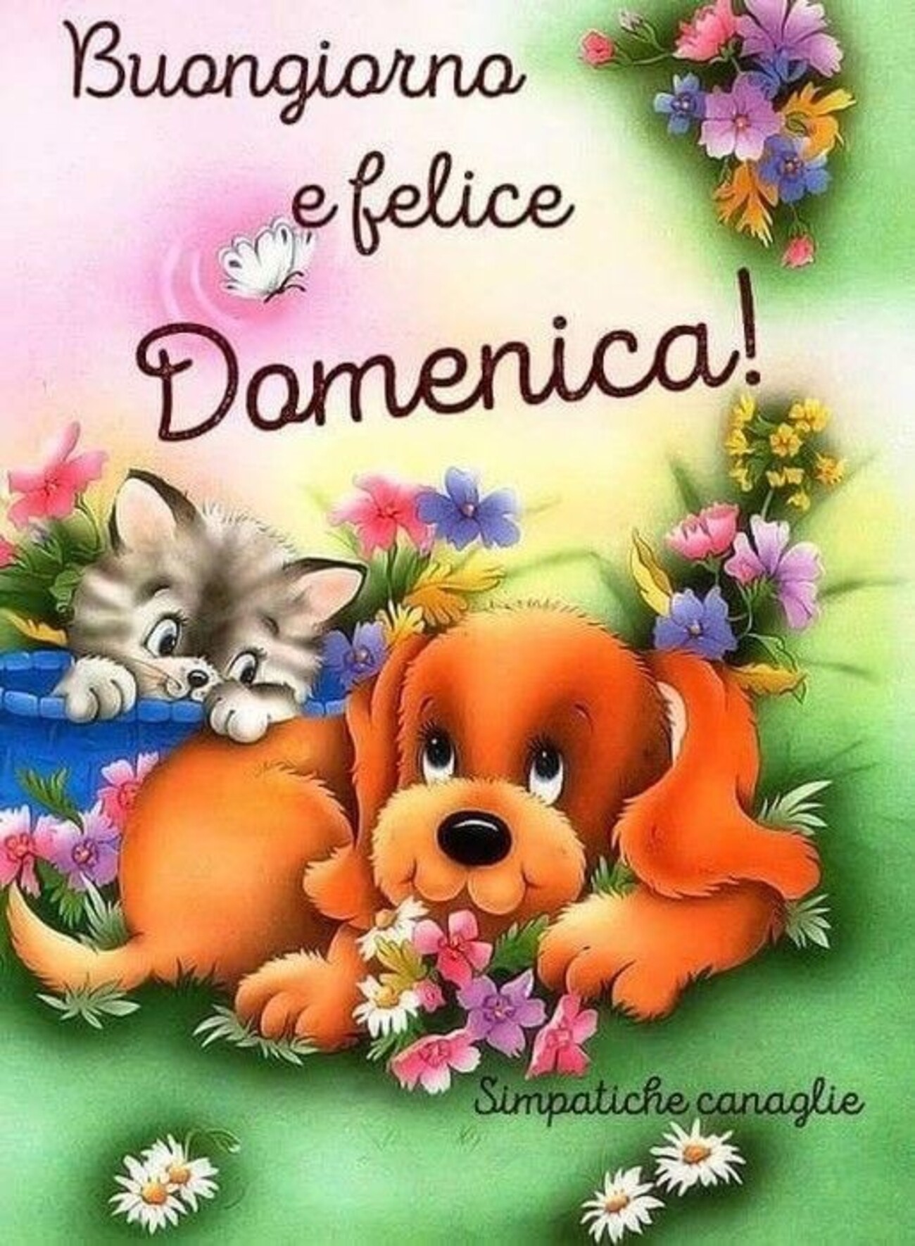 Buongiorno e felice domenica