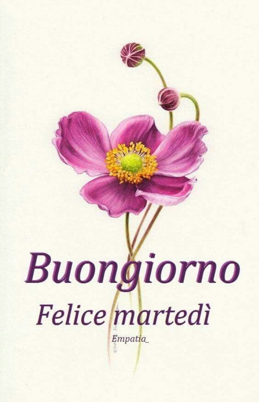 Buongiorno felice martedì