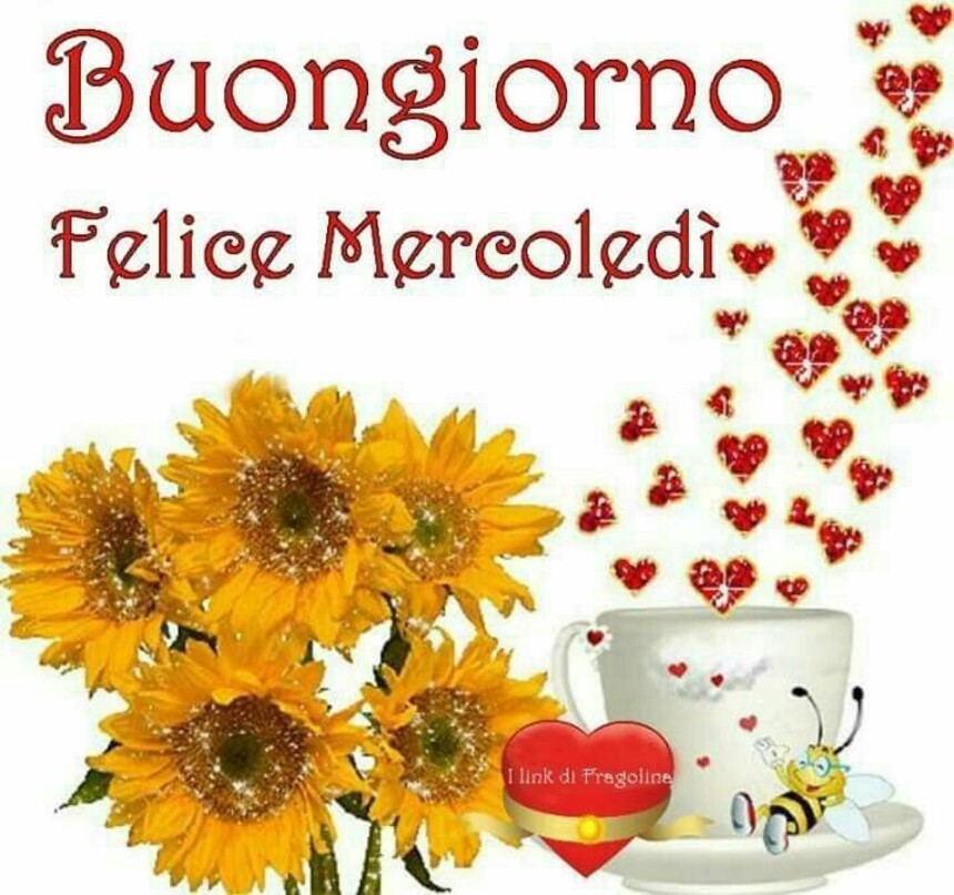 Buongiorno felice mercoledì