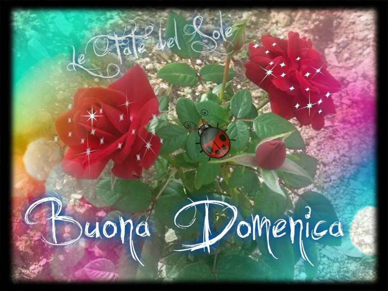 Buongiorno mattinieri e buona domenica immagini gratis 10