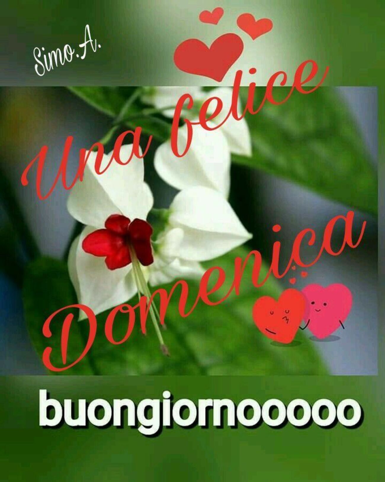 Buongiorno mattinieri e buona domenica immagini gratis 2