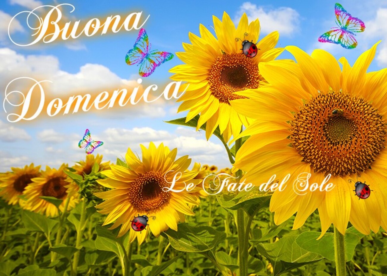 Buongiorno mattinieri e buona domenica immagini gratis 3