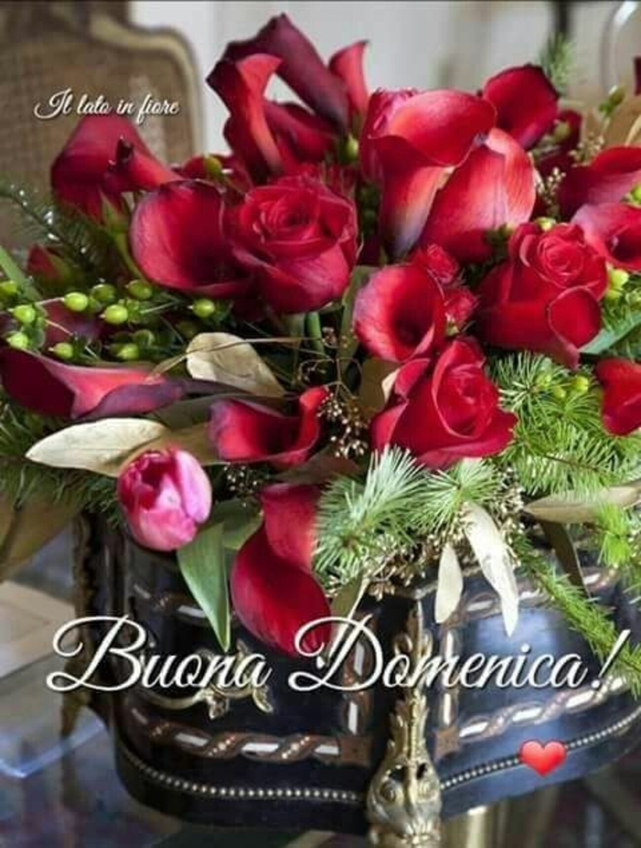 Buongiorno mattinieri e buona domenica immagini gratis 8