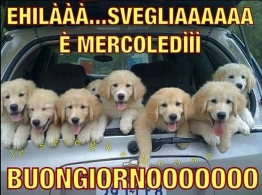 Ciao buon mercoledì a tutti gli amici del mio profilo 1