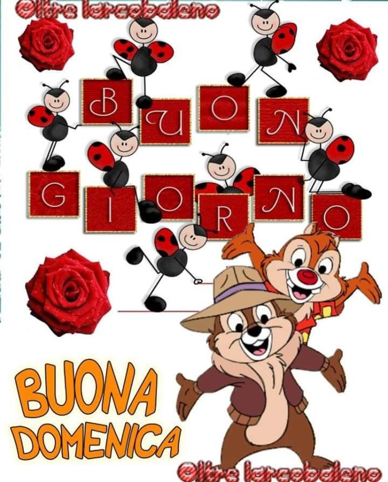 Cip e Ciop vi augurano una buona domenica