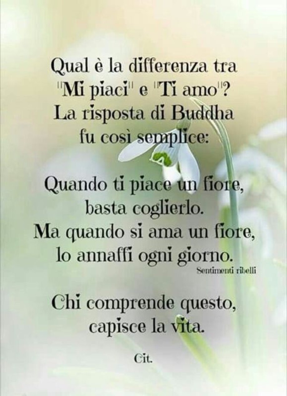 Citazioni 8