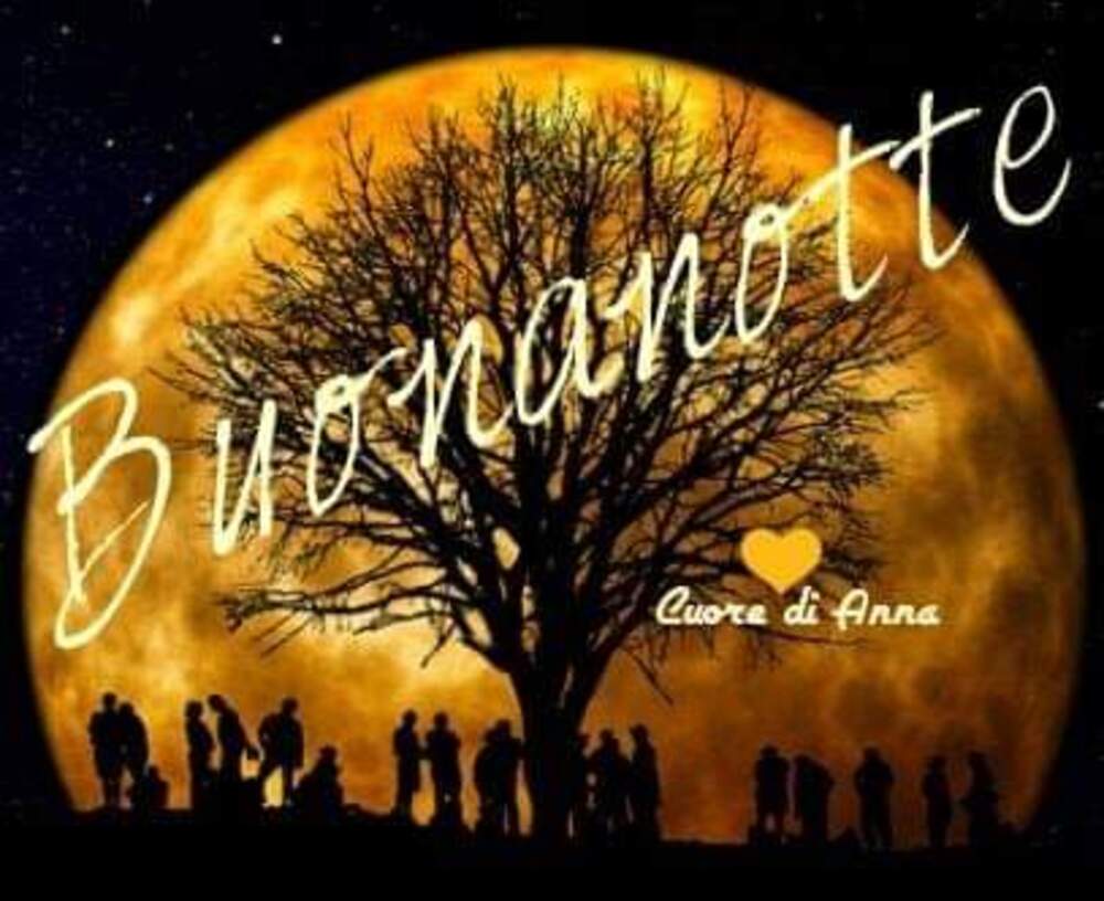 Con la Luna buonanotte a tutti (12)