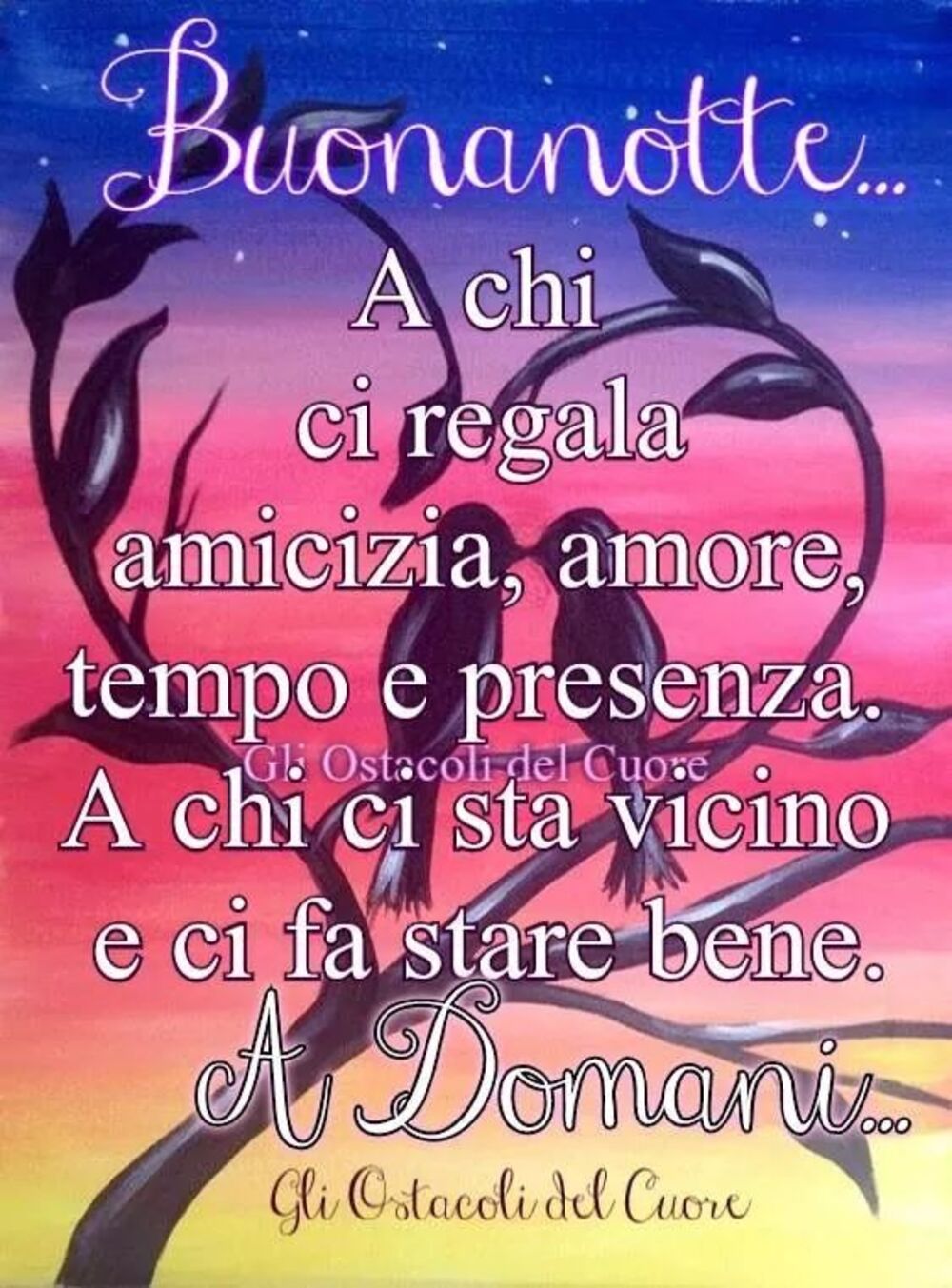 Dolce Notte 13