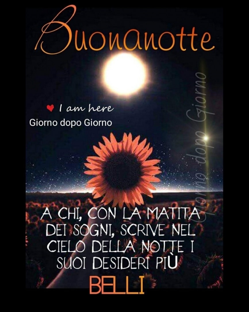 Dolce Notte magici sogni 12