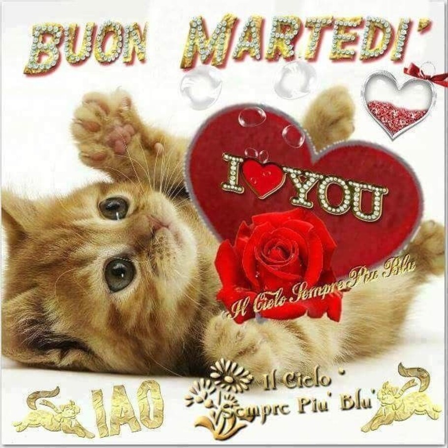 Dolce buongiorno e buon martedì amore mio (3)