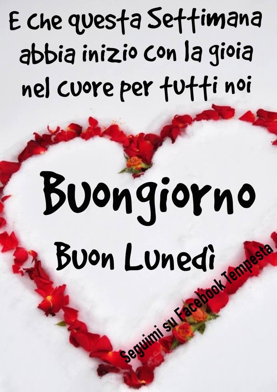 È di nuovo lunedì buongiorno amici 7