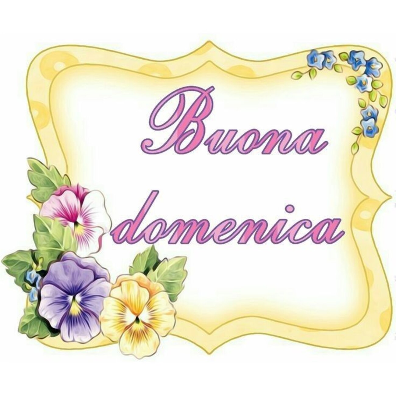 Felicissima Domenica a tutti buongiorno 2