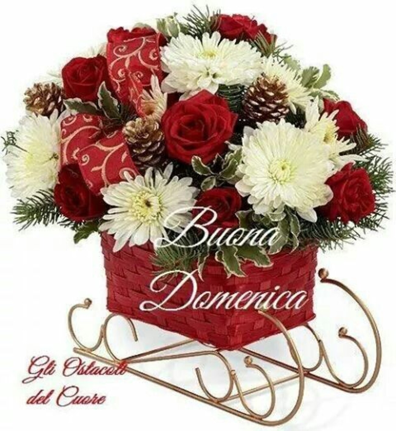 Felicissima Domenica a tutti buongiorno 8