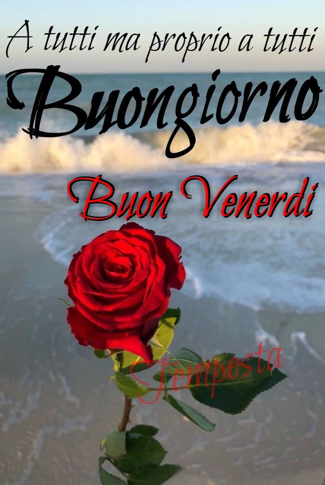 Foto e frasi belle per dire buongiorno buon venerdì 3