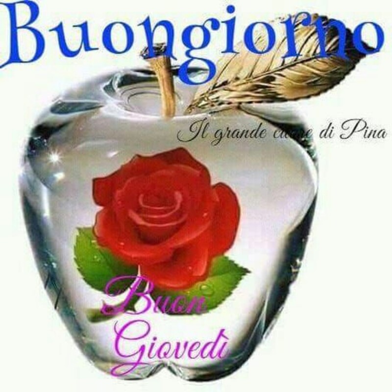 Foto e frasi per dire a tutti gli amici buon giovedì a voi 6