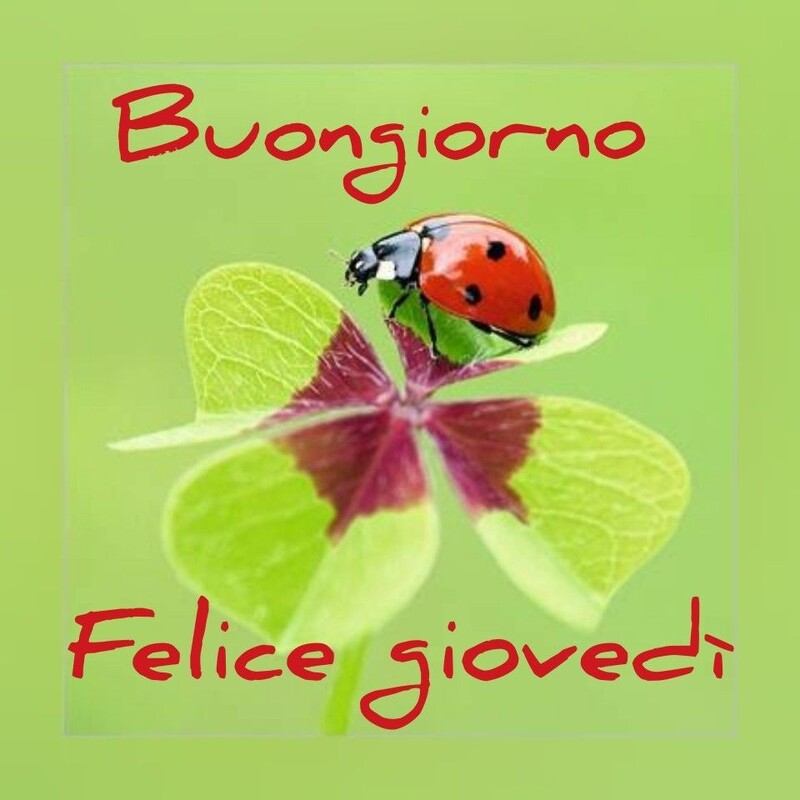 Foto e frasi per dire a tutti gli amici buon giovedì a voi 7