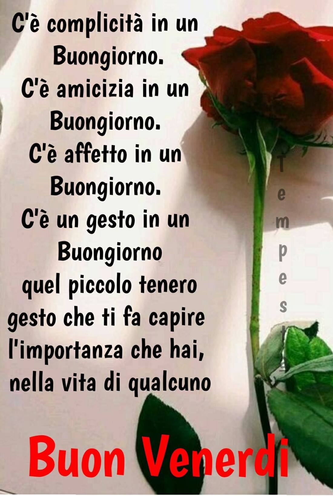 Frasi belle per augurare il buon venerdì (2)