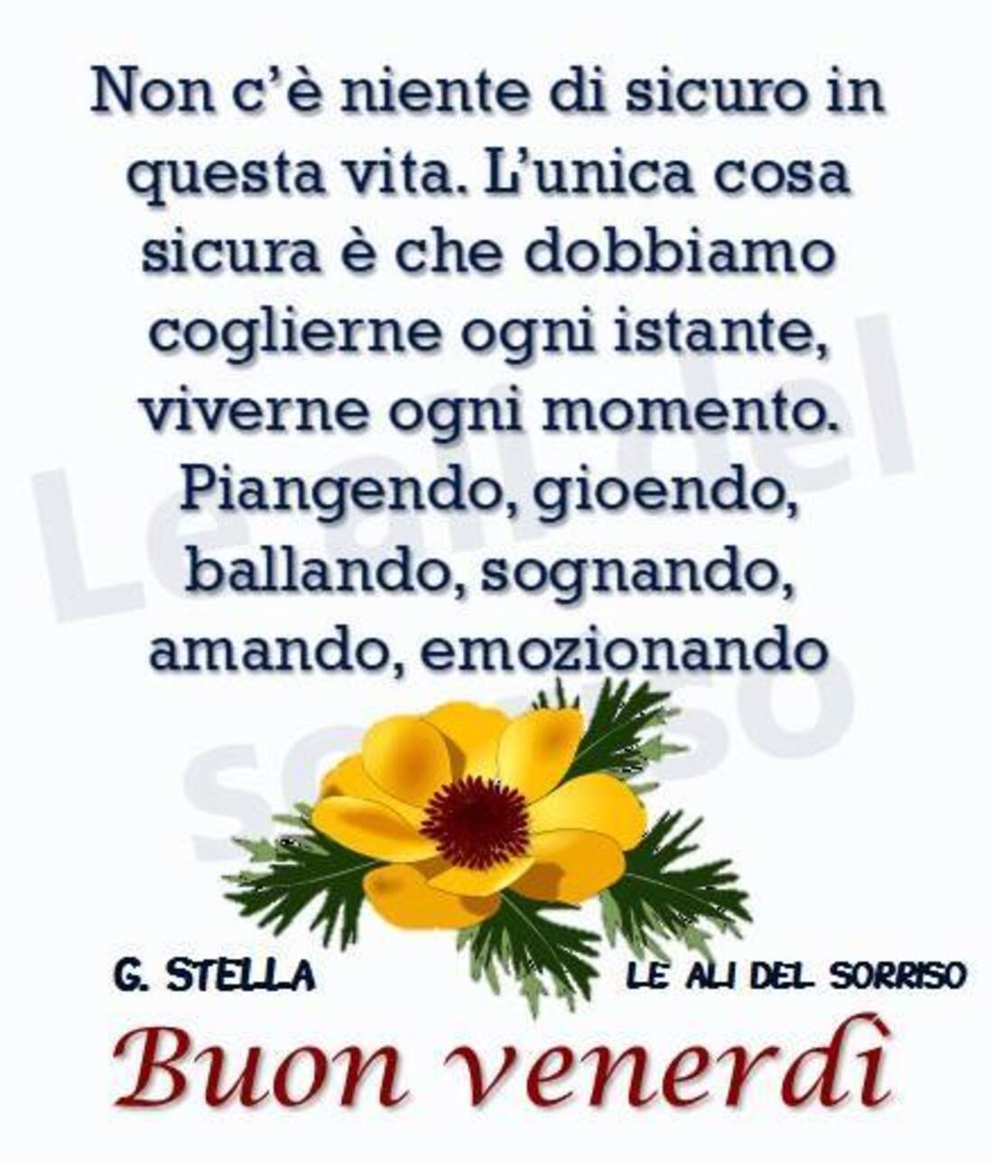 Frasi belle per augurare il buon venerdì (6)