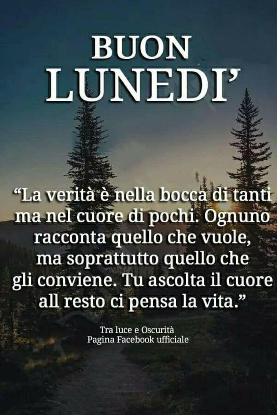 Frasi bellissime di buon lunedì (2)