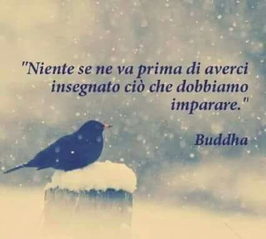 Frasi celebri (7)