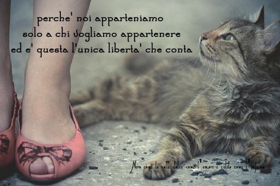 Frasi e Aforismi da mandare su Facebook 10