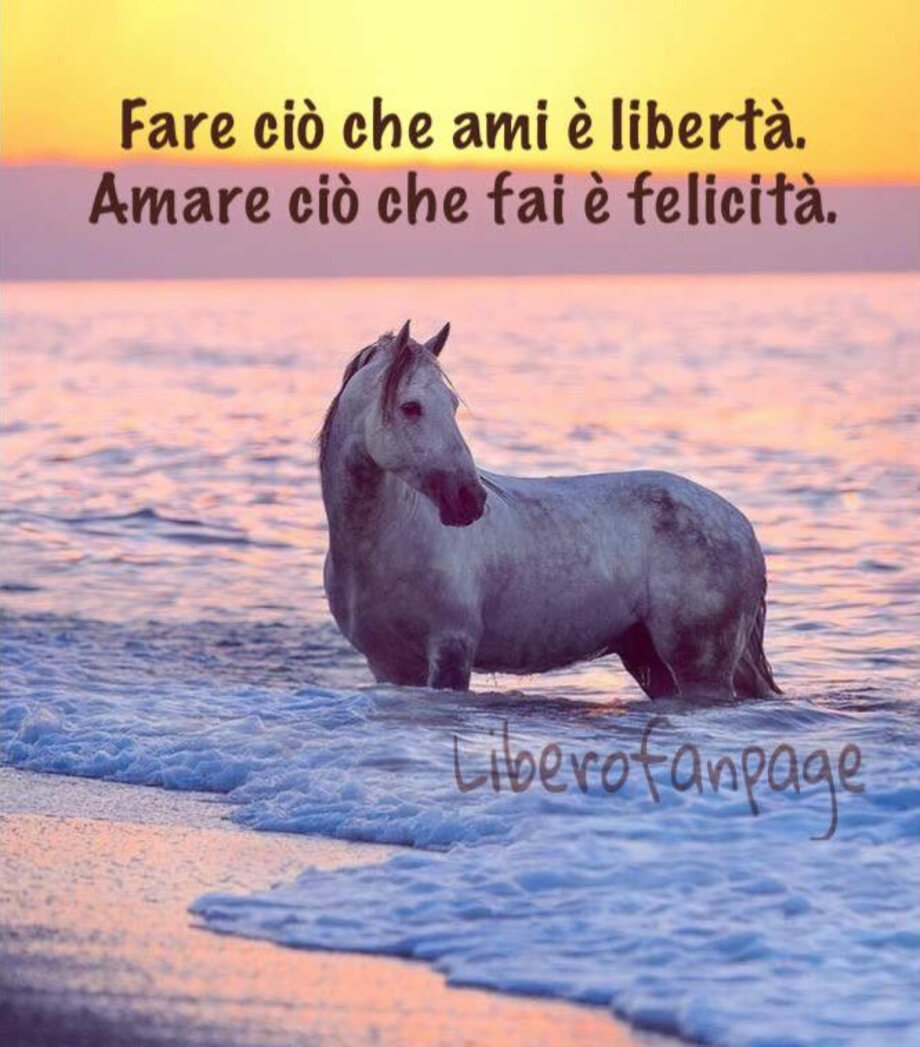 Frasi e citazioni belle sulla felicità (2)