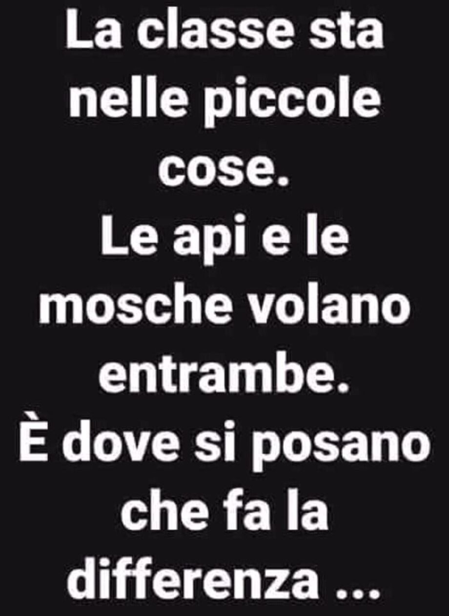 Frasi più belle da condividere direttamente dal tuo smartphone 14