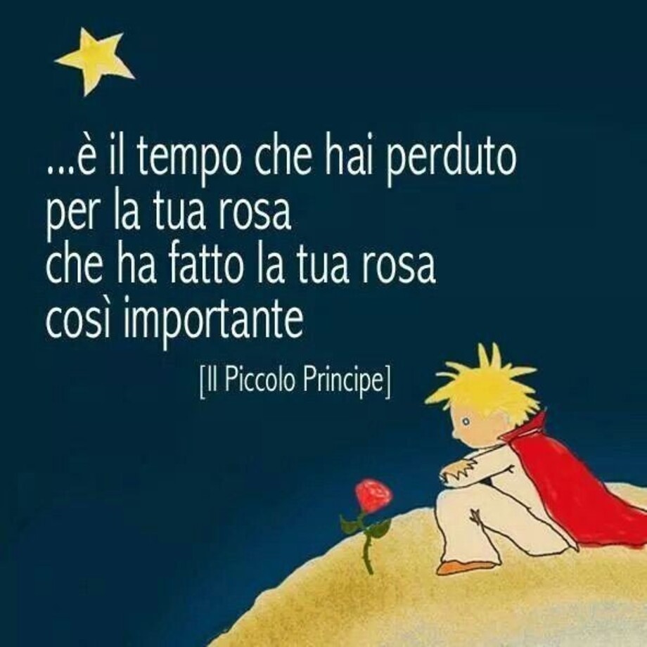 Il Piccolo Principe le frasi più belle