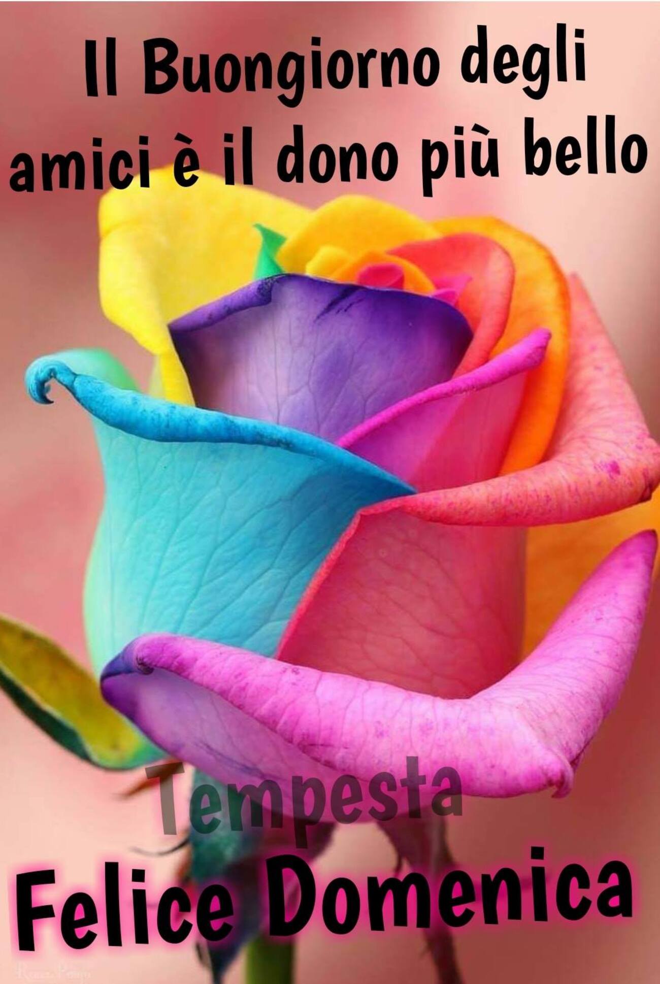 Il buongiorno degli amici è il dono più bello Felice Domenica tempesta