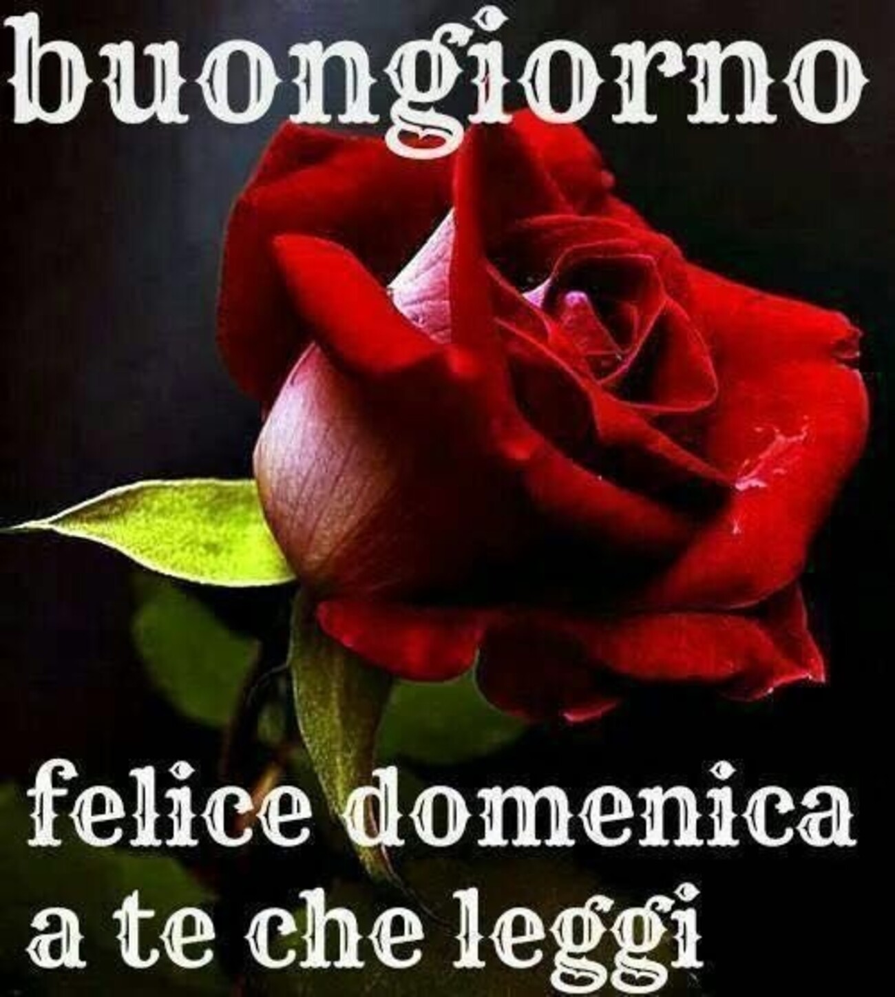 Immaginette di buona domenica da mandare agli amici su Whatsapp 9