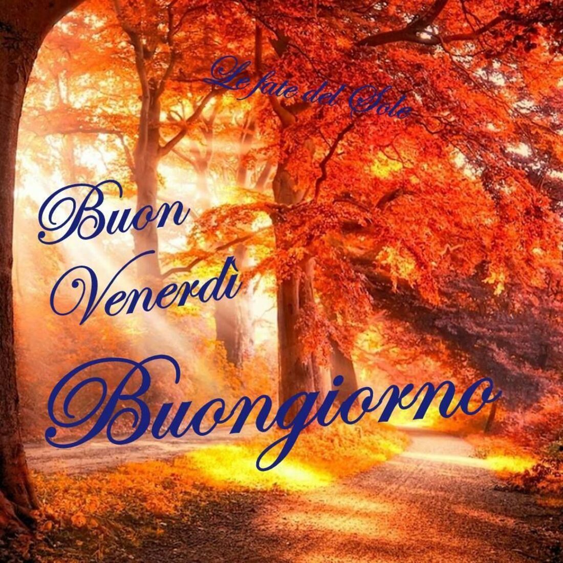 Immagini buon venerdì in autunno (4)