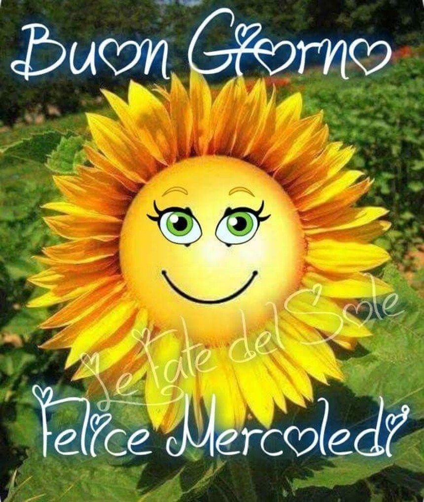 Immagini col sorriso di buon mercoledì (2)