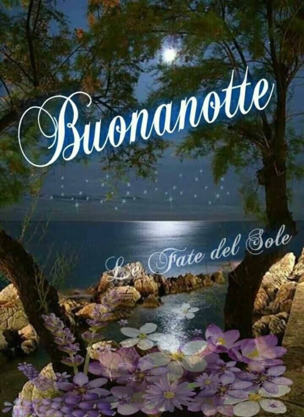 Immagini con frasi bellissime di buonanotte 1