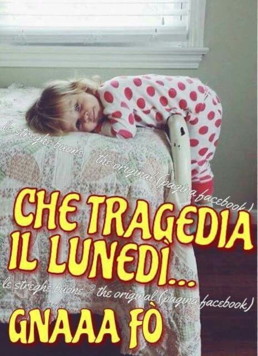 Immagini divertenti di buon lunedì (3)