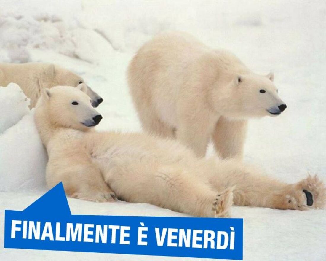 Immagini divertenti per buon venerdì su Whatsapp (1)