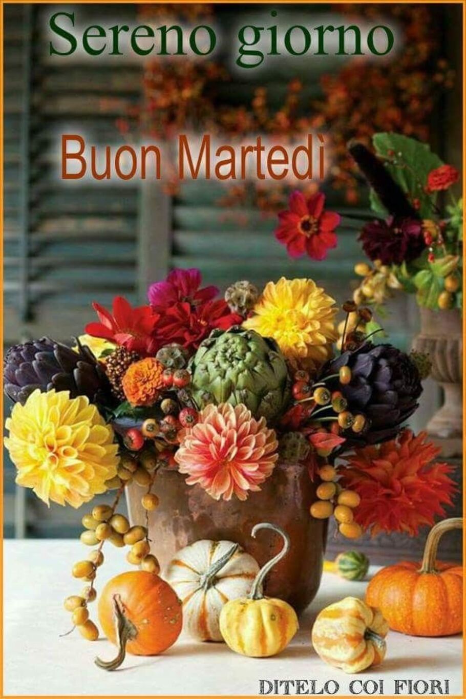 Immagini nuovissime di buon martedì 2