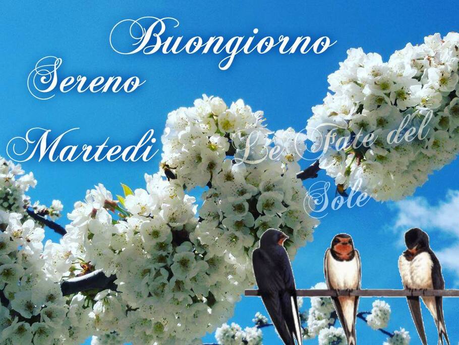 Immagini nuovissime di buon martedì 7