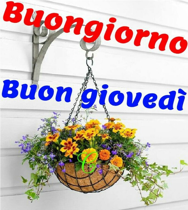 Immagini per dare il buon giovedì via chat 6