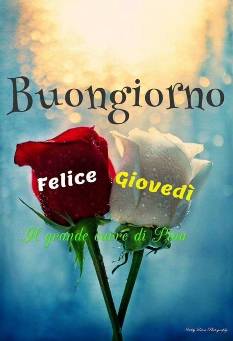 Immagini per dare il buon giovedì via chat 9